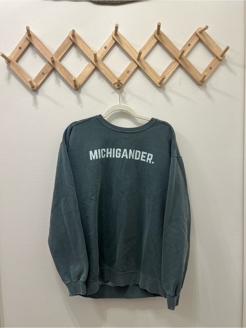 Comfort Colors Michigan Crewneck